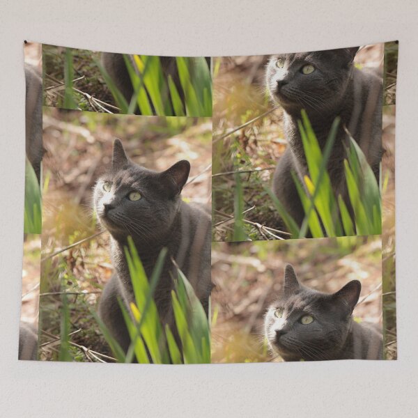 Item preview, Just another cat photo designed and sold by debsdesigns.