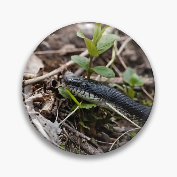Item preview, Black Snake designed and sold by Brad Chambers.