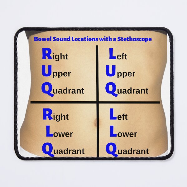 Item preview, Bowel Sound Locations with a Stethoscope designed and sold by Caregiverology.