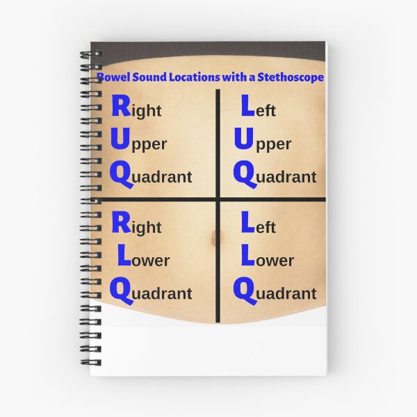 Item preview, Bowel Sound Locations with a Stethoscope designed and sold by Caregiverology.