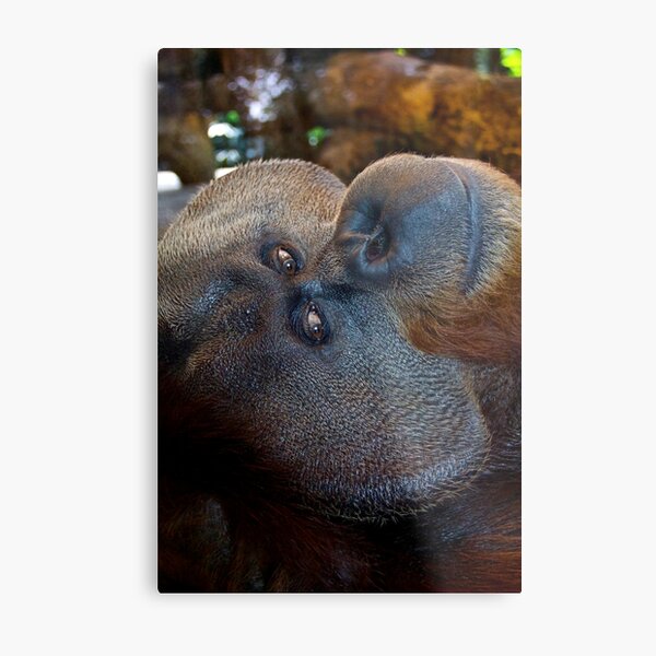 Item preview, Charlie the Orangutan designed and sold by csenior.