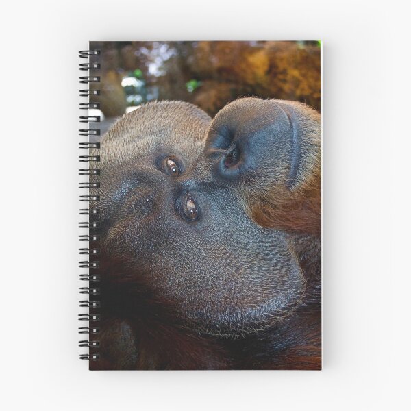 Item preview, Charlie the Orangutan designed and sold by csenior.