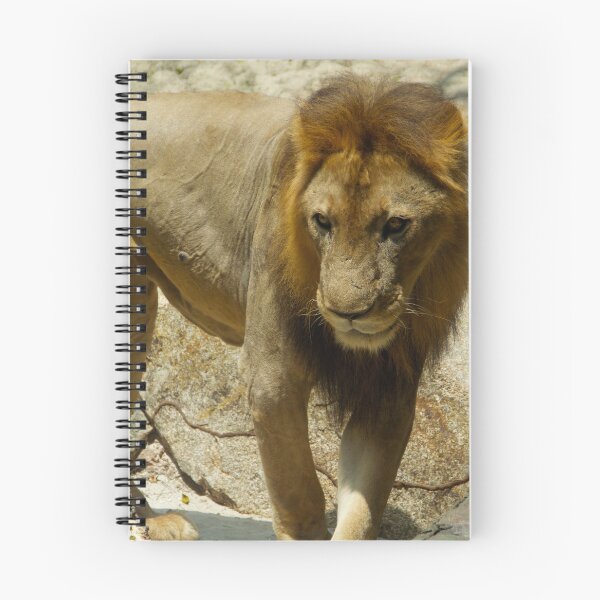 Item preview, Circling Lion designed and sold by csenior.