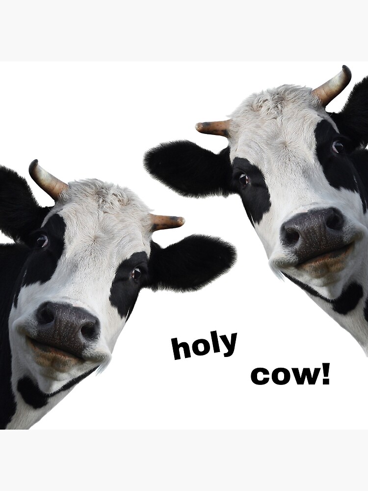 Holy Cow Poster For Sale By Gemsanatomy Redbubble