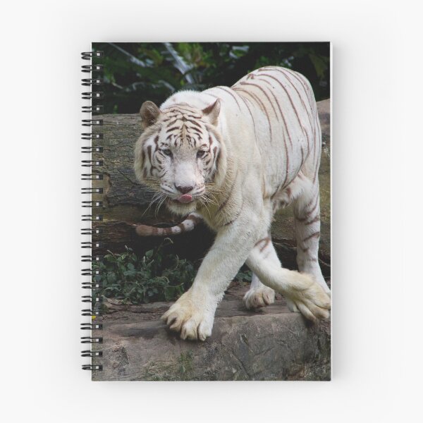 Item preview, Pacing Tiger designed and sold by csenior.
