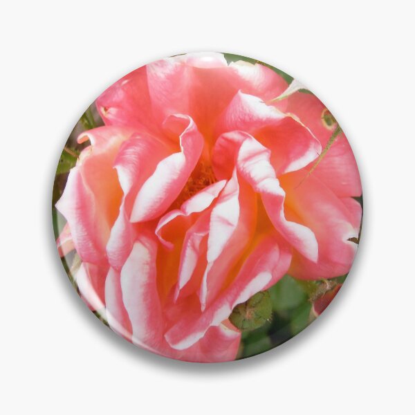 Item preview, Pink Roses designed and sold by Shulie1.