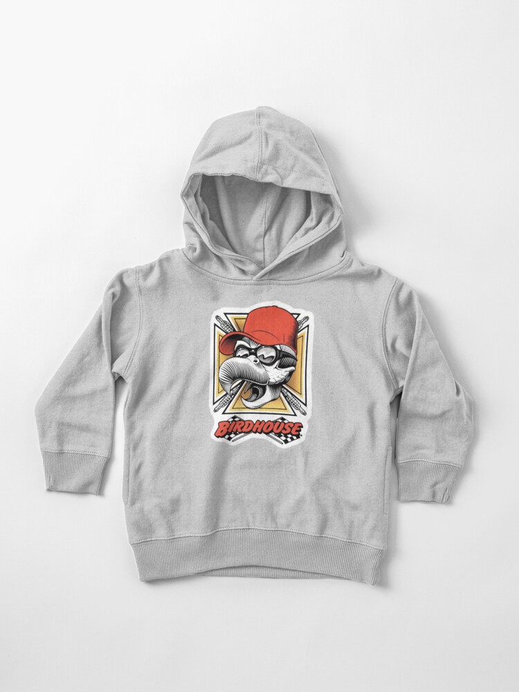 Tony 2024 hawk hoodie