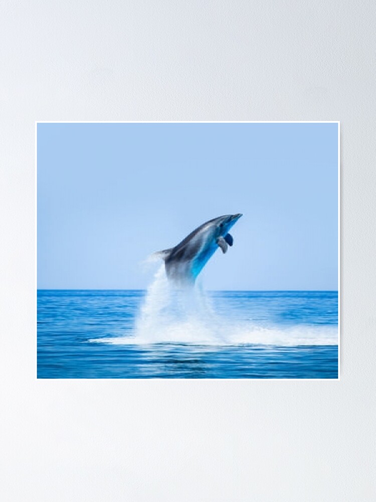 Photo Group of jumping dolphins, beautiful seascape and blue sky