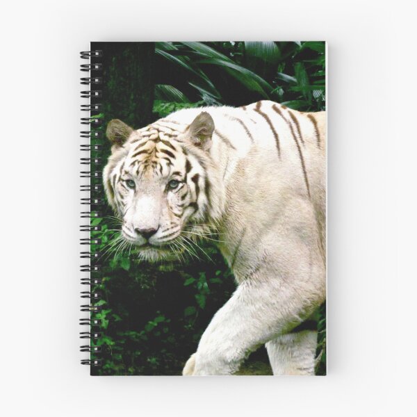 Item preview, Wary Tiger designed and sold by csenior.