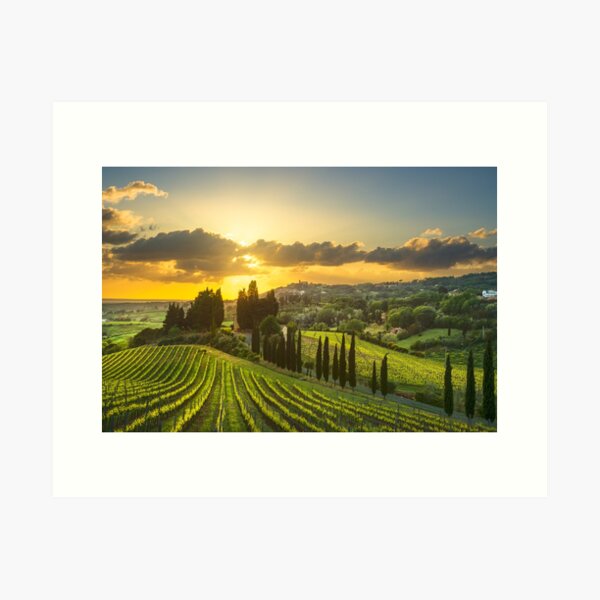Vineyards and countryside landscape in Maremma. Tuscany Art Print