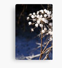 Ice Blossoms Canvas Print