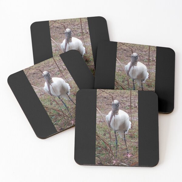 Item preview, Wood Stork, Pasco County, Florida designed and sold by Artistability.