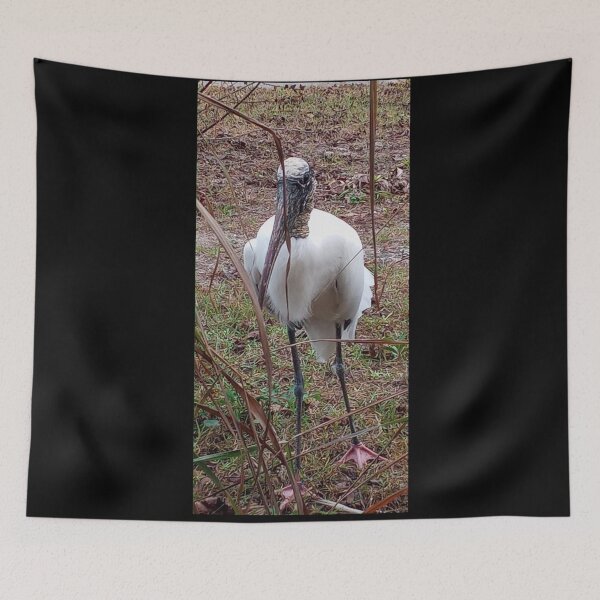Item preview, Wood Stork, Pasco County, Florida designed and sold by Artistability.