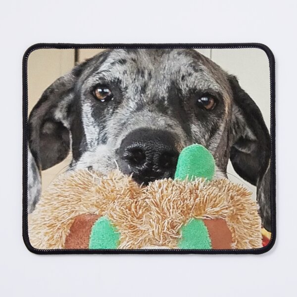 Item preview, MooseDog and Toy designed and sold by MooseDogPhotos.