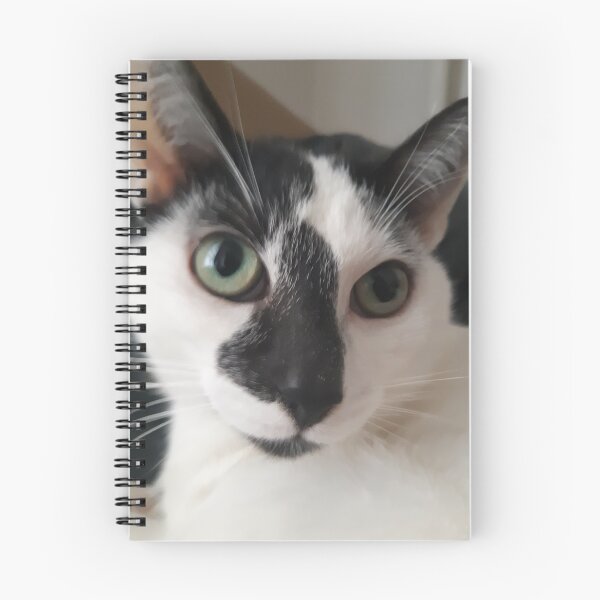 Item preview, CAT V2 designed and sold by TheBlessedTip.