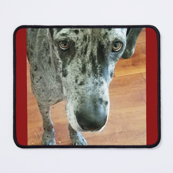 Item preview, Brown Eyed Girl designed and sold by MooseDogPhotos.