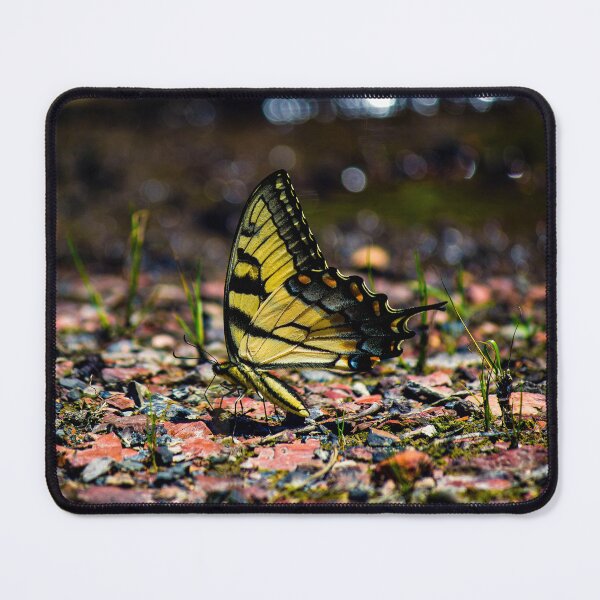Item preview, Butterfly designed and sold by c-zphotos.