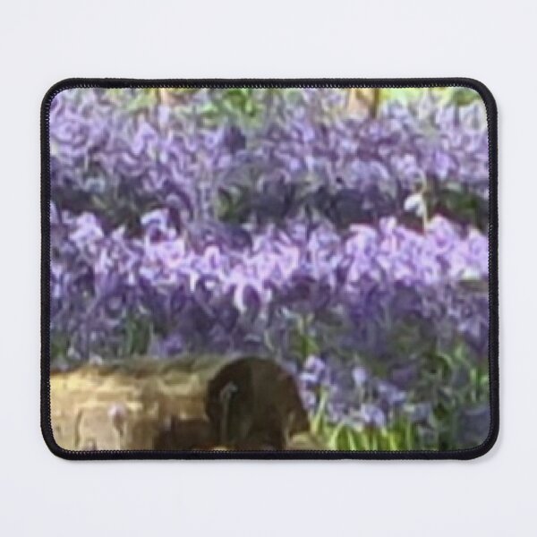 Item preview, Bluebell Forest 5 designed and sold by weavernap.