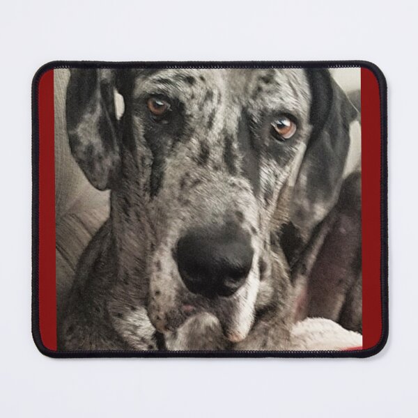 Item preview, Pensive Moose Dog designed and sold by MooseDogPhotos.