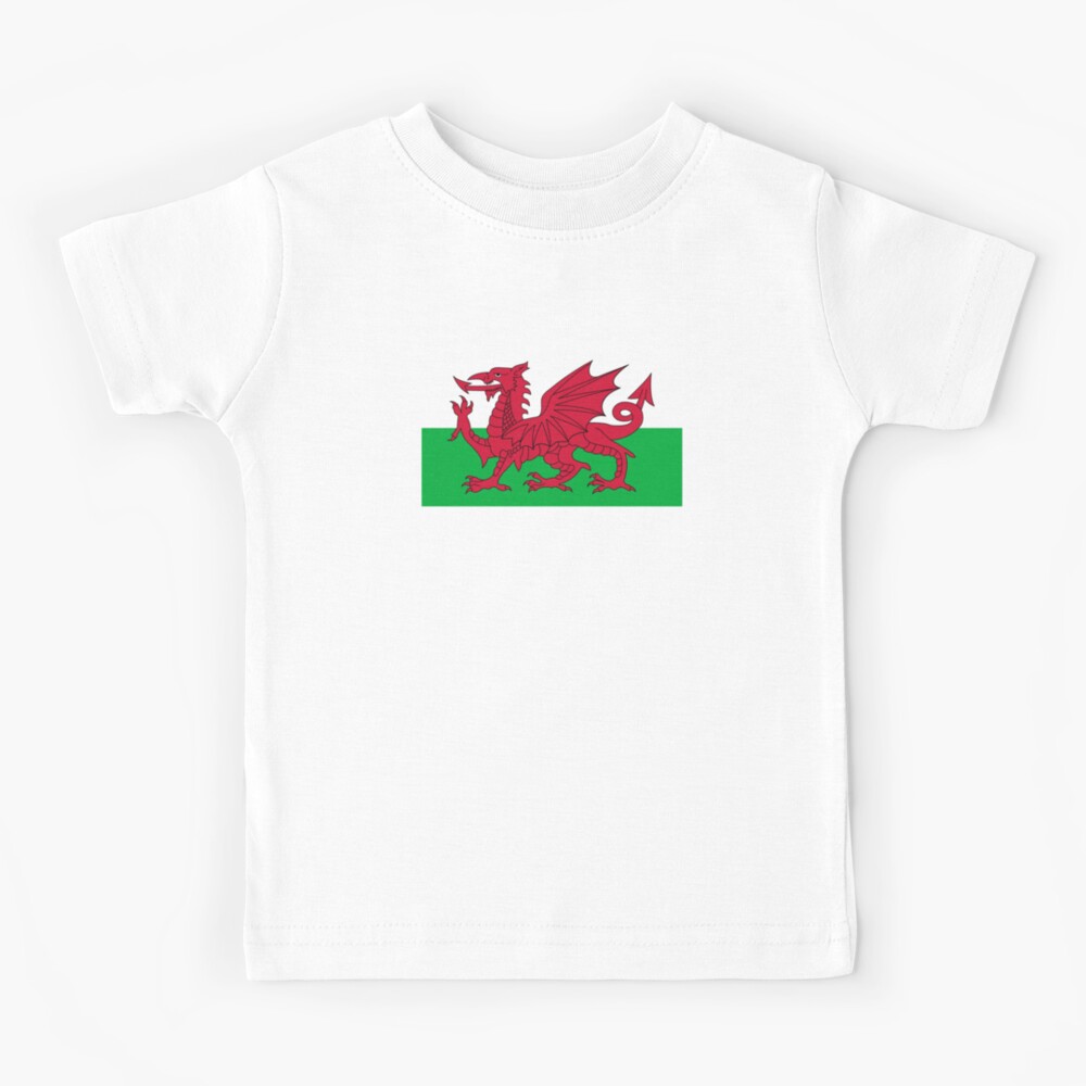 Childrens Football Flag Tshirt Top Kids Rugby Gifts Cymru Boys Wales T Shirt 