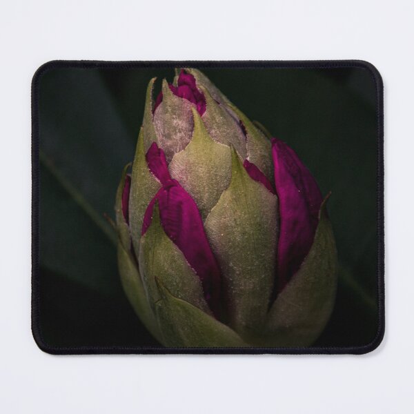 Item preview, Rhododendron Blossom designed and sold by c-zphotos.