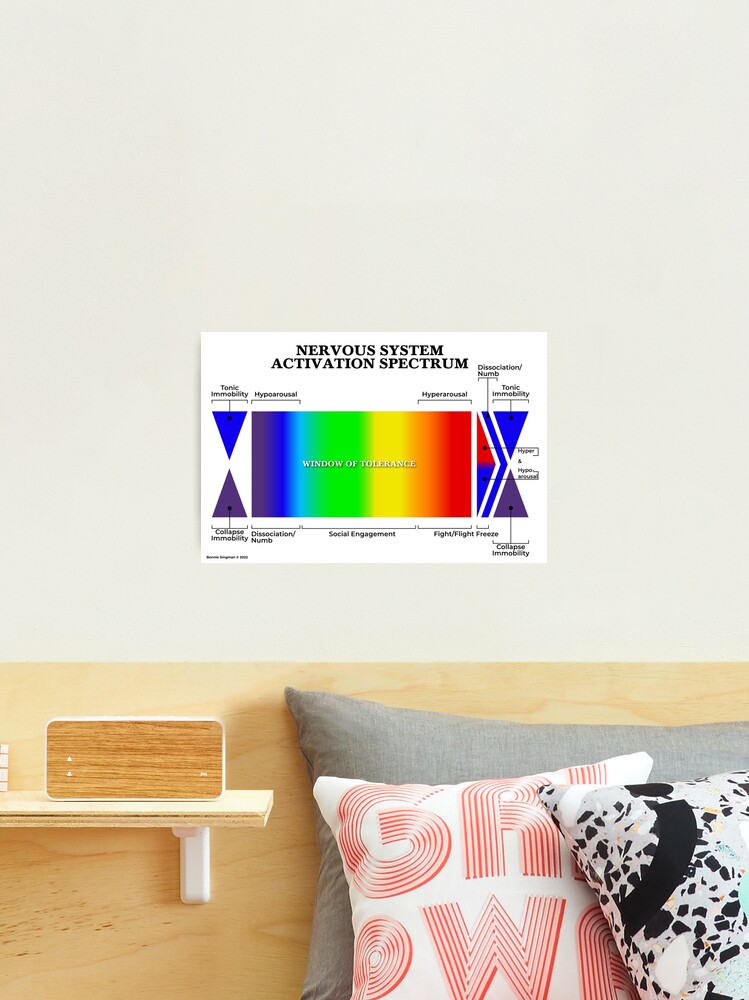 Photographic Print, Nervous System Activation Spectrum designed and sold by lightsomatic