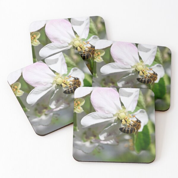 Item preview, Honey bee on Flower designed and sold by Kate-P-.