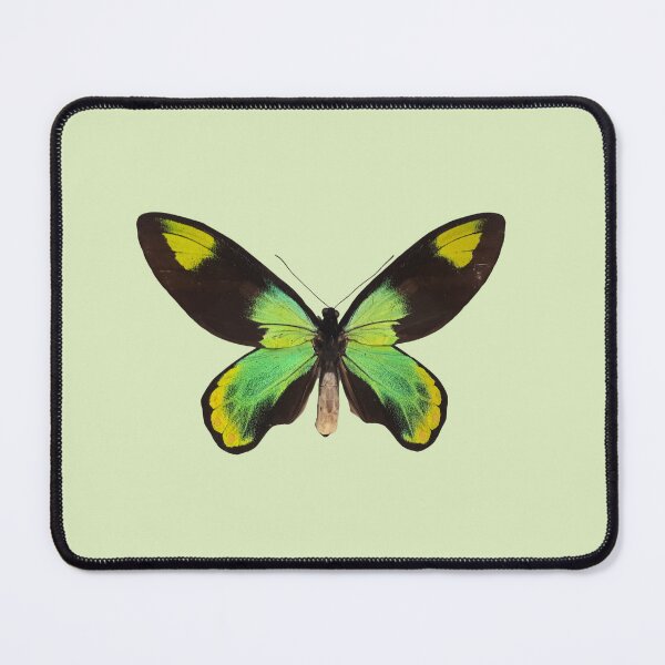 Item preview, Papillon Jade designed and sold by yulia-joy.