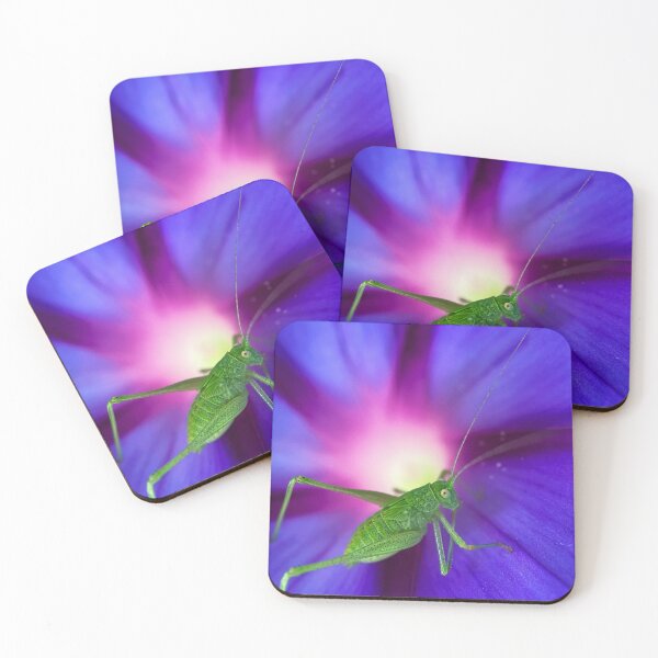 Item preview, Katydid on morning glory  designed and sold by AutumSasala.