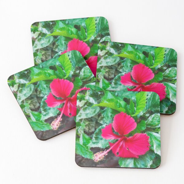 Item preview, Lovely red hibiscus flower Photo specially made for you designed and sold by Ismail Rizk.