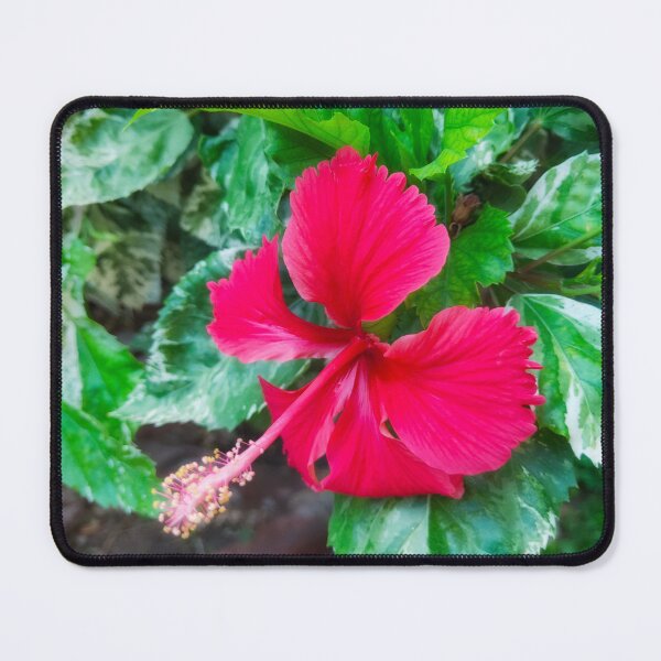 Item preview, Lovely red hibiscus flower Photo specially made for you designed and sold by Ismail Rizk.