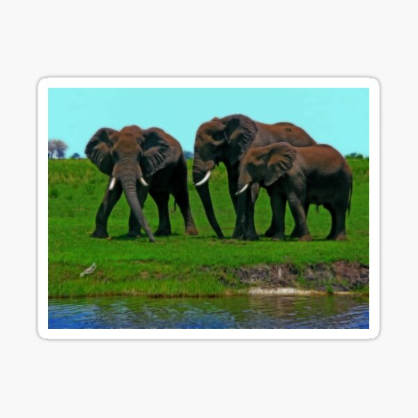 Vista previa del artículo con la obra «Elefantes, Parque Nacional de Chobe, Botswana», diseñado y vendido por vadim19.
