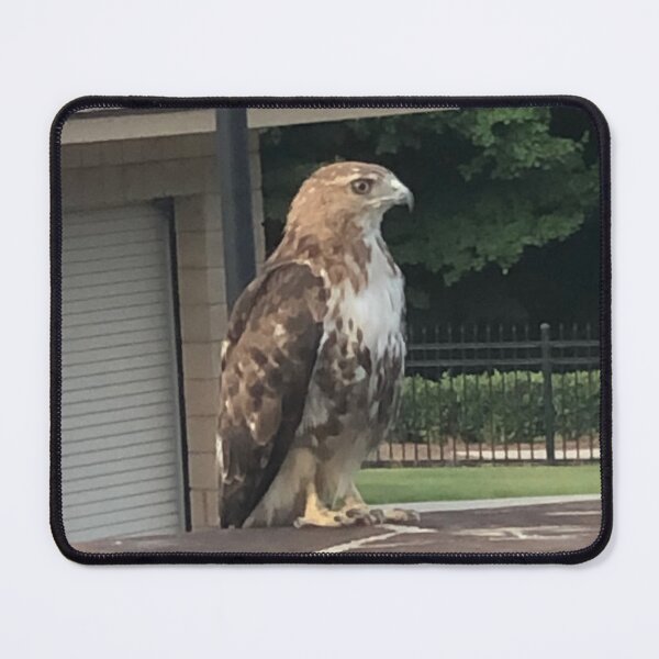 Item preview, Red Tailed Hawk 2 designed and sold by zwrr16.