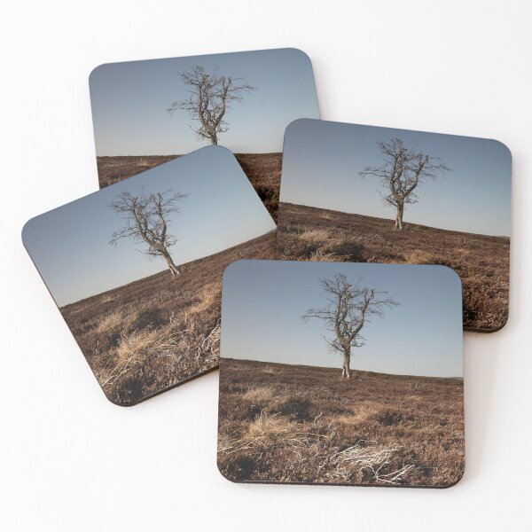 Item preview, skeletal tree, correen hills designed and sold by codaimages.