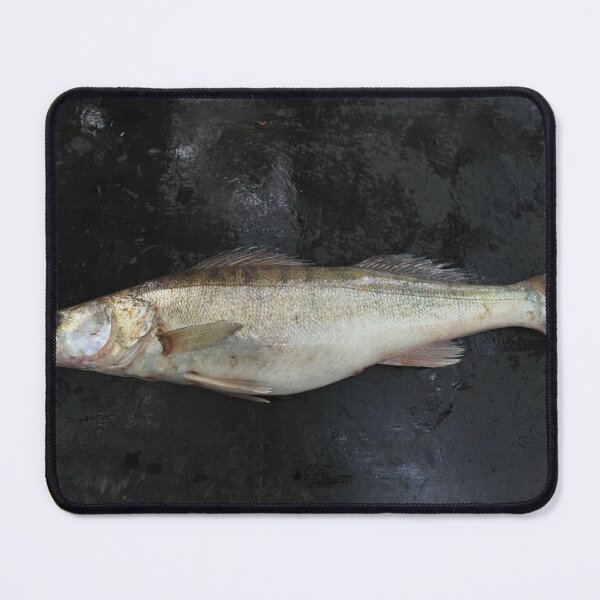 Item preview, predator fish zander on a dark background designed and sold by mrivserg.
