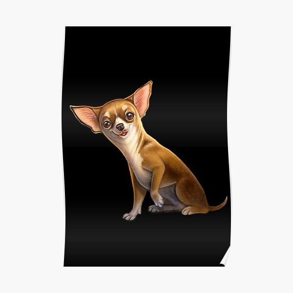 Süßer, entzückender Chihuahua Poster