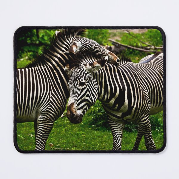 Item preview, Zebra Hug designed and sold by achristyphoto.