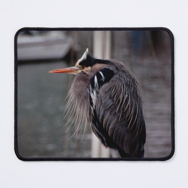 Item preview, Grumpy Heron designed and sold by achristyphoto.