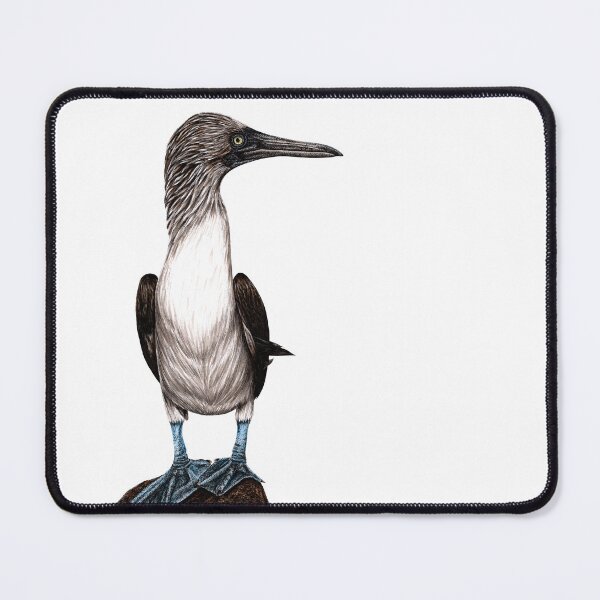 Item preview, Blue-footed booby designed and sold by LorenDowding.