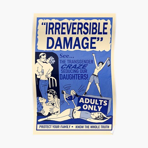 IRREVERSIBLE DAMAGE Poster