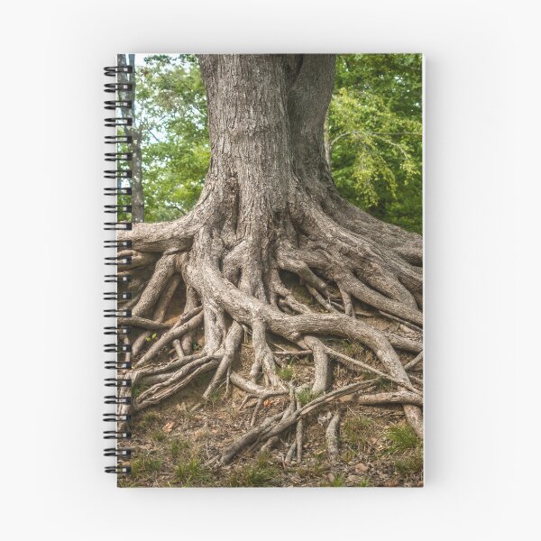 Item preview, Tree Roots of Life designed and sold by Lostlogo.