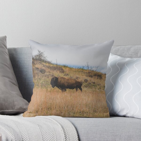 Artikelvorschau, Bison - Wichita-Berge, Oklahoma entworfen und verkauft von Lostlogo.