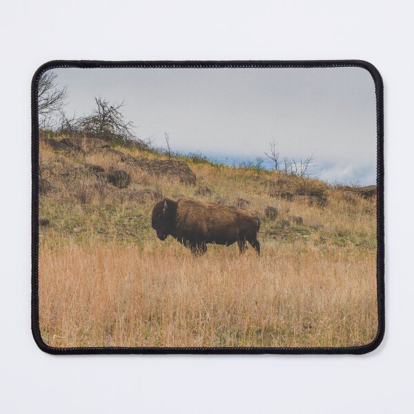 Item preview, Bison - Wichita Mountains, Oklahoma designed and sold by Lostlogo.