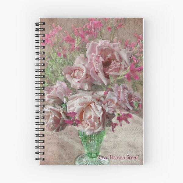 Item preview, Rosa 'Heaven Scent' designed and sold by Julie Sherlock.