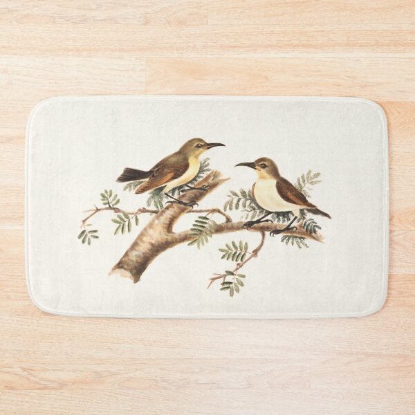 Item preview, Sunbirds (Nectarinia) designed and sold by linggalibrary.