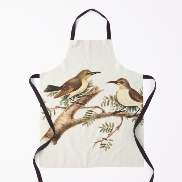 Item preview, Sunbirds (Nectarinia) designed and sold by linggalibrary.