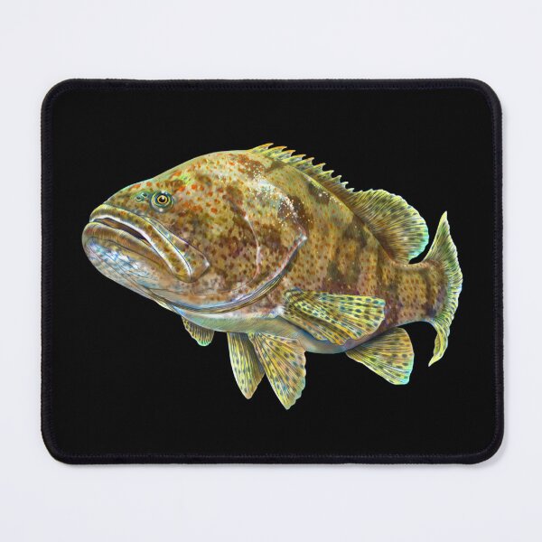 Item preview, Atlantic Grouper designed and sold by TimJeffsArt.