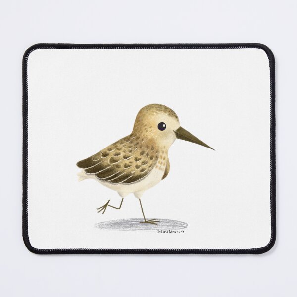 Item preview, Sandpiper bird designed and sold by julianamotzko.