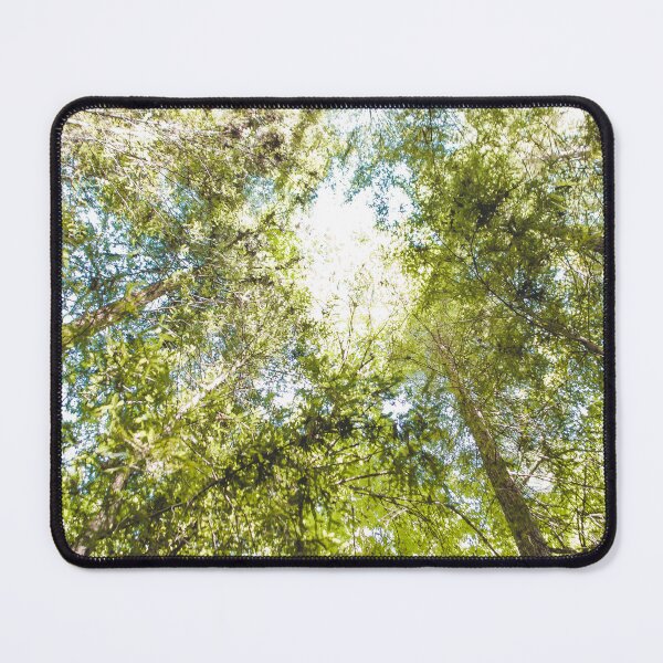 Item preview, Forest Looking Up, Bright Sky designed and sold by Lostlogo.