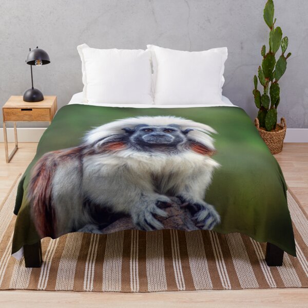 Item preview, Cotton Top Tamarin designed and sold by Savannah Gibbs.